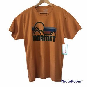 MARMOT Mens COASTAL TEE SS Aztec Gold Heather L Graphic Organic T-Shirt $29